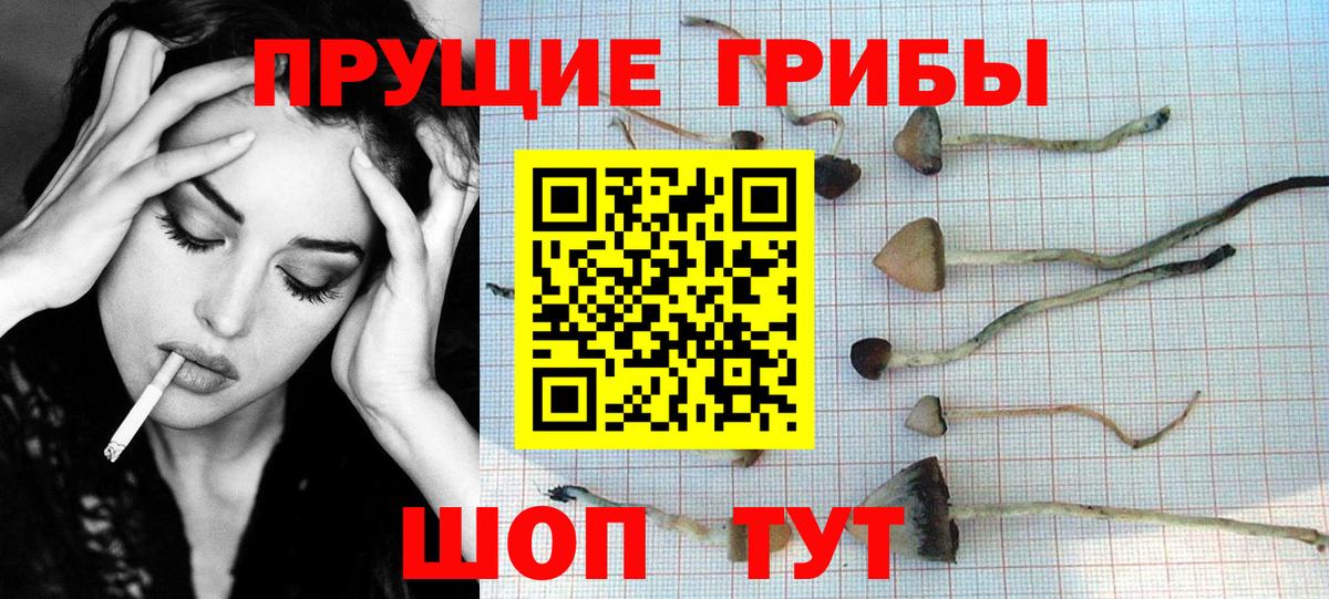 Псилоцибиновые грибы мухоморы Канаш