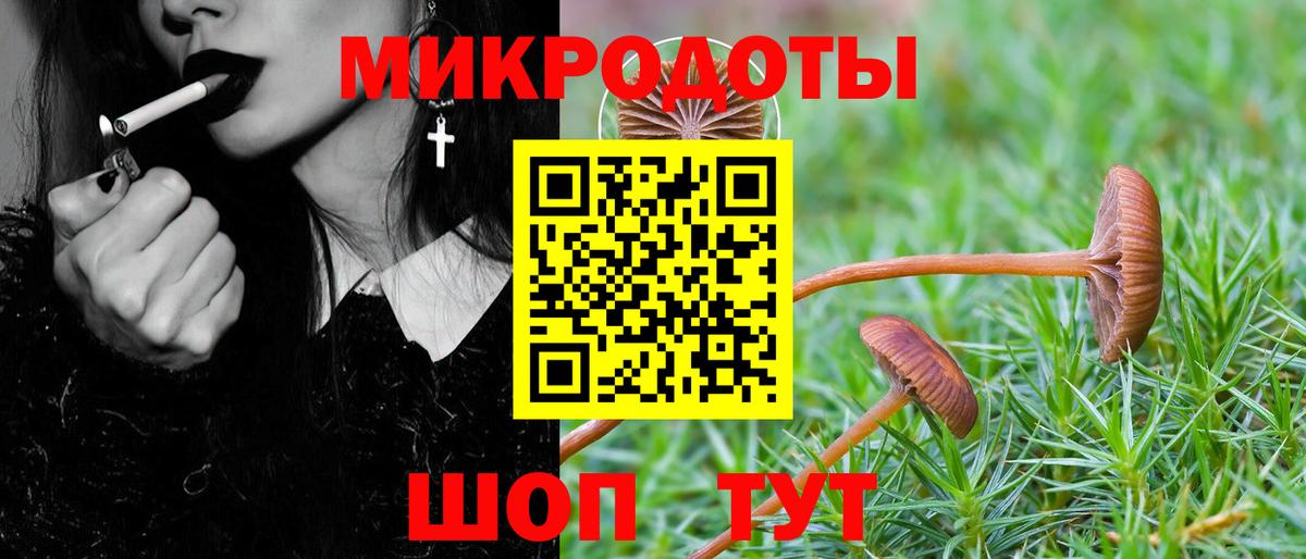Псилоцибиновые грибы Magic Shrooms  Вход с VPN  Канаш 